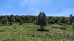 IMG_20260523_134129