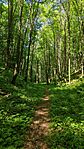 IMG_20260523_151934