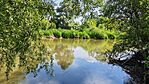 IMG_20260525_113036