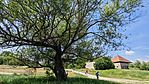 IMG_20260525_113204