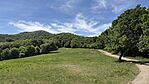 IMG_1275