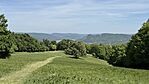 IMG_1277