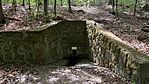 IMG_1284