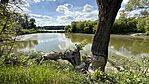 IMG_1333