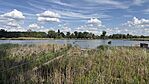 IMG_1339