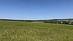 IMG_1352