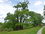P1000838