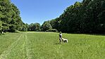 IMG_4314