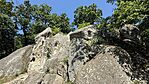IMG_4326
