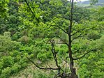IMG_20260509_123139