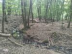 IMG_20260509_090528 (1)