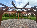 IMG_20260525_080416