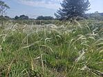 IMG_20260525_083259