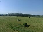IMG_20260525_084904