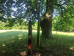 IMG_20260525_093616