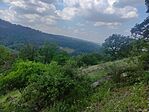 IMG_20260525_124254