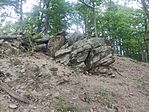 IMG_20260525_124543