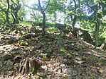 IMG_20260525_144045