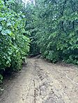IMG_7552