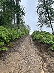 IMG_7551