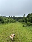 IMG_7554