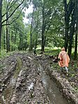 IMG_7558