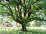 IMG_20260509_150338