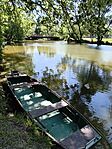 IMG_20260524_103404