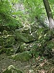 20260524_155057