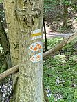 IMG_1197