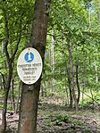 IMG_1202