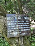 IMG_1196