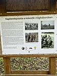 IMG_1181