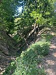 IMG_1266