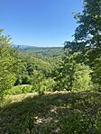IMG_1268