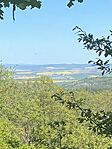 IMG_1269