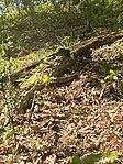 IMG_1281