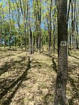 IMG_1256
