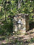 IMG_1175