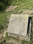 IMG_1284