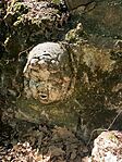 IMG_1378