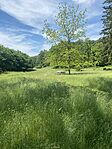 IMG_1506