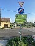 IMG_1590