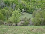 DSC08054