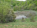 DSC08055