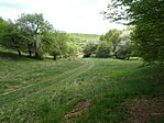 DSC08058