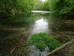 DSC08065