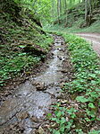 DSC08079