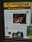 DSC08080