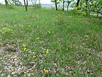 DSC08090